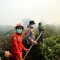 IMG-20260828-WA0136